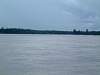 The rare Irrawaddy River Dolphin (Can you spot it)